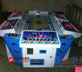 陈文强与新款鲨鱼游戏机 个体经营者的互联网游戏运营新篇章